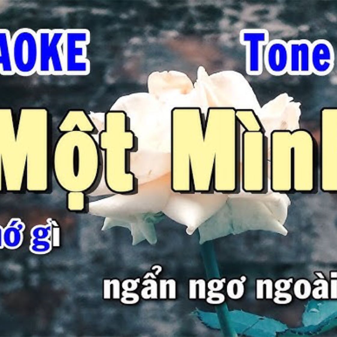 Một Mình Karaoke Tone Nam | Karaoke Hiền Phương