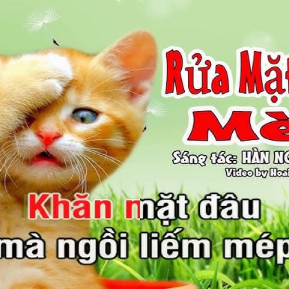 Rửa Mặt Như Mèo Karaoke Tuyệt phẩm hay nhất