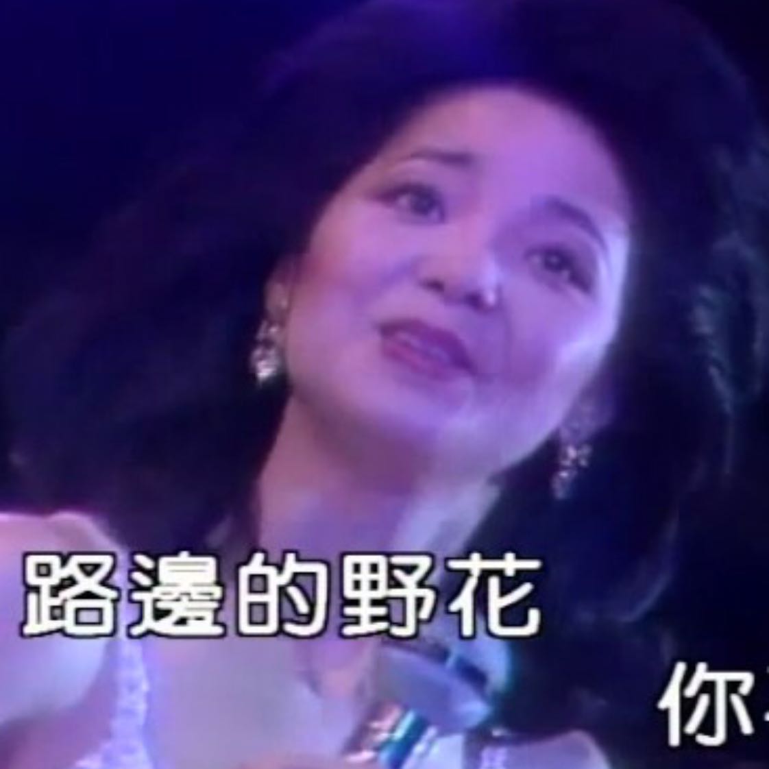 路邊的野花不要採 karaoke
