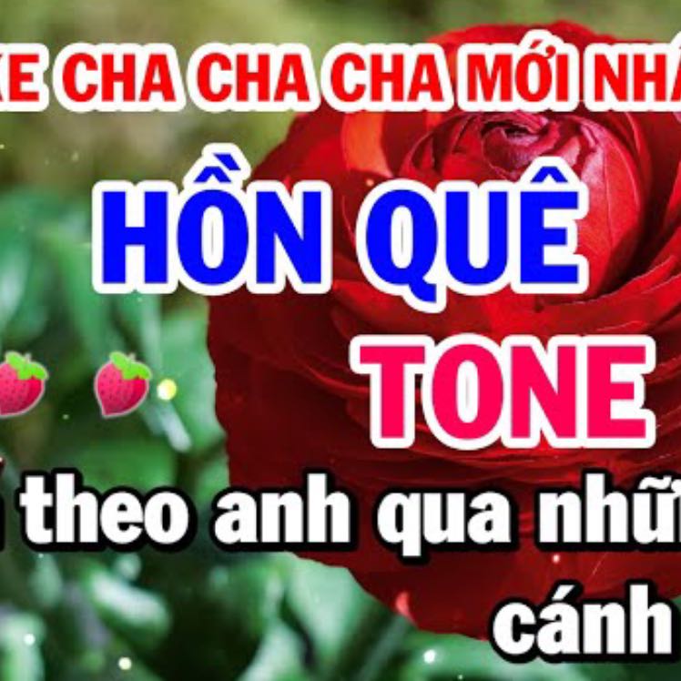 Karaoke Nhạc Sống Hồn Quê - Cha Cha Cha Beat Hay Phối Chuẩn 2024 (Tone Nữ)